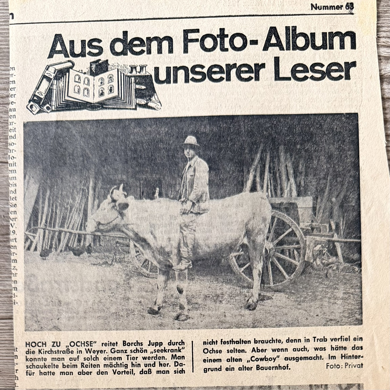 Fotoalbum unserer Leser