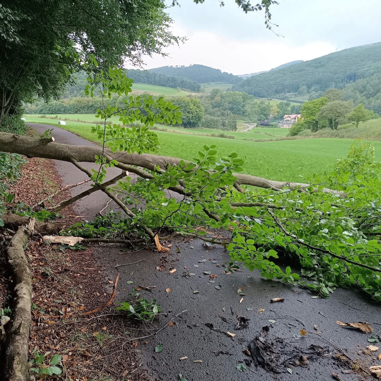 Ruhiger Verlauf trotz großflächiger Unwetterwarnung