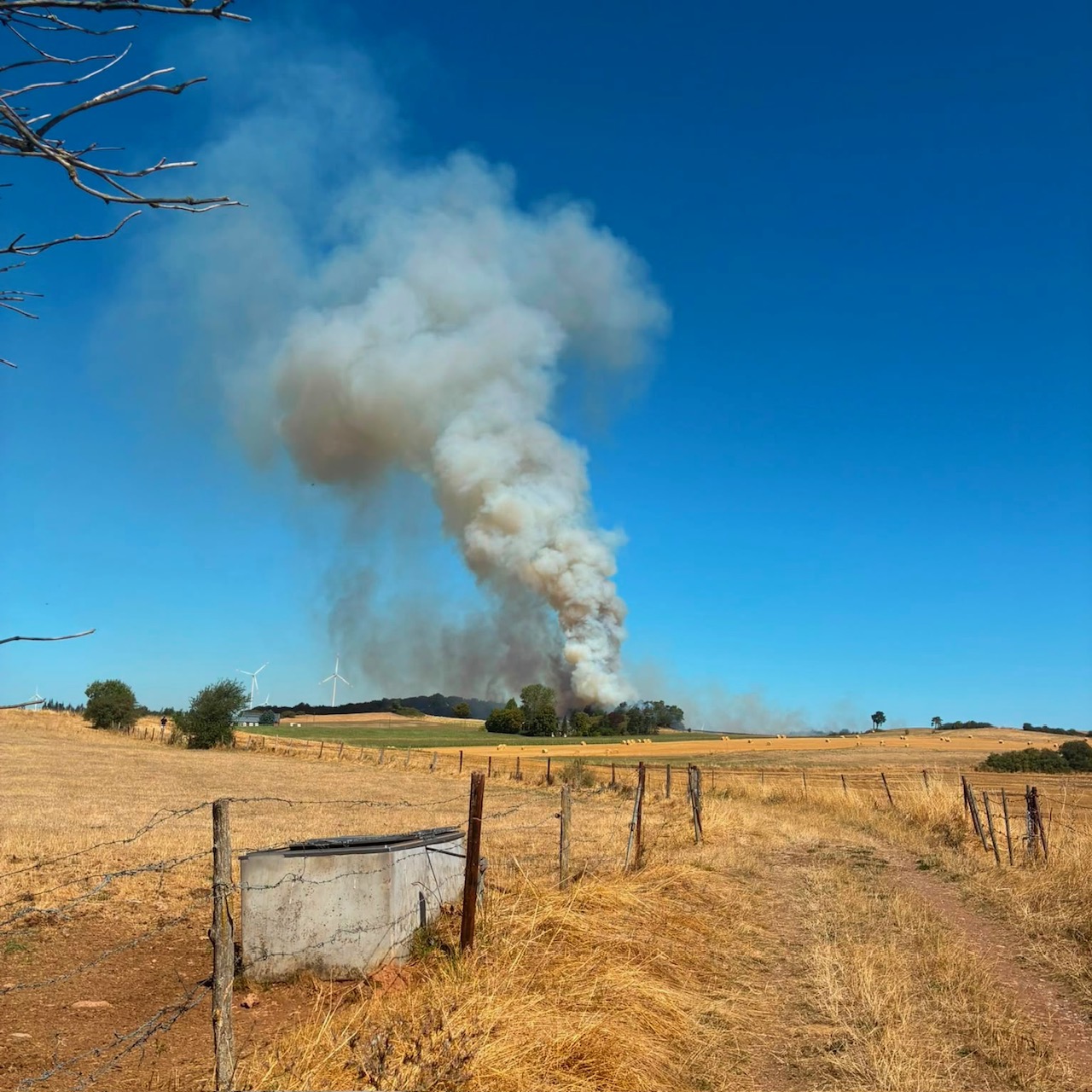 Ein Sommer im Zeichen der Waldbrandgefahr – die Feuerwehr Weyer im Einsatz